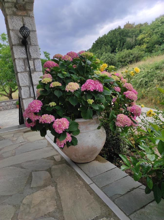 Ouranogiton Resort Kosmás Dış mekan fotoğraf