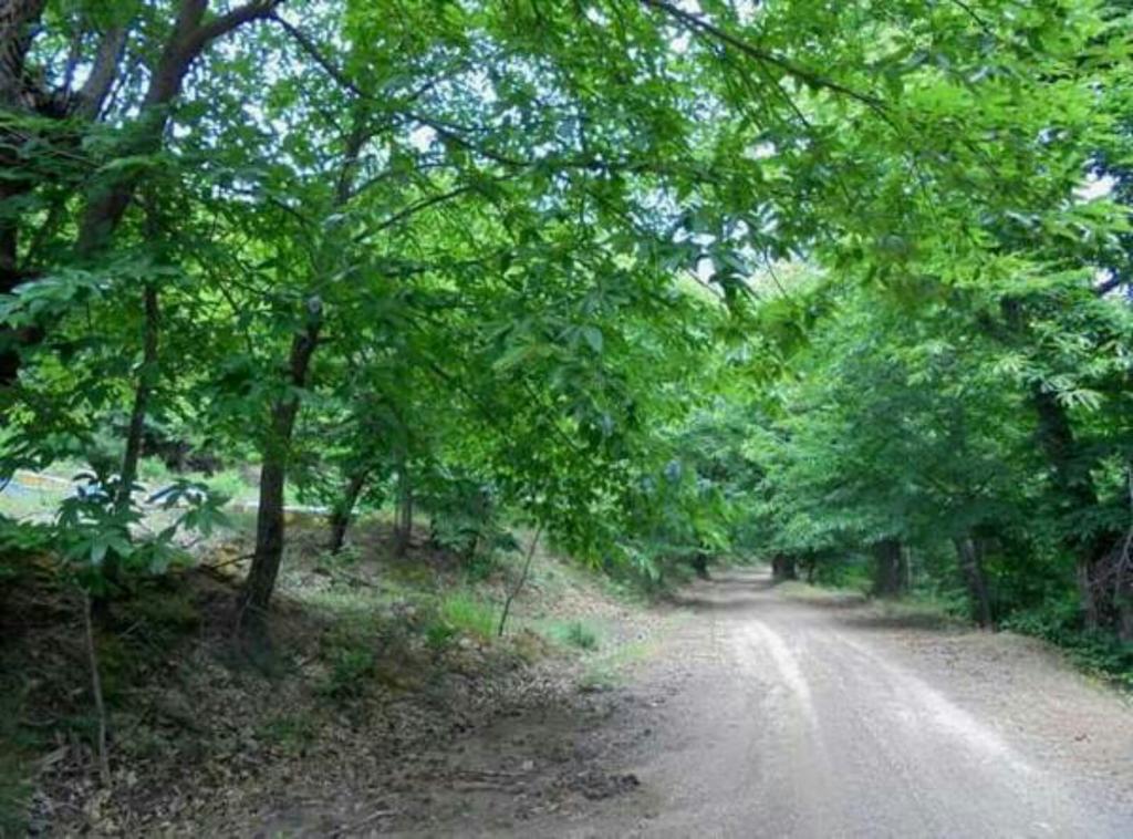 Ouranogiton Resort Kosmás Dış mekan fotoğraf